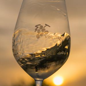 Vinistra - International wine exhibition