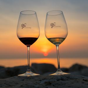 Vinistra - International wine exhibition