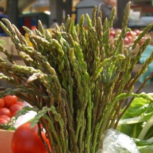 Wild Asparagus 