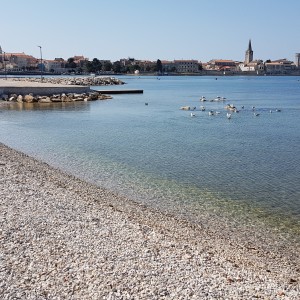 The Peškera Bay public beach 