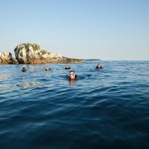 Diving in the deep blue sea