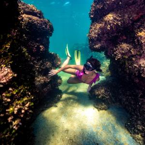 Poreč Snorkeling