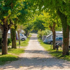 Camping Zelena Laguna-1