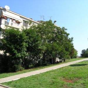 BELETIĆ