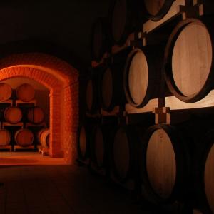 Wine Day - Dan vina u Istri
