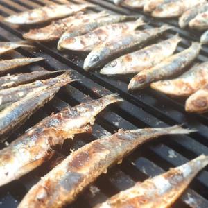 Fishermen’s Festival in Červar Porat