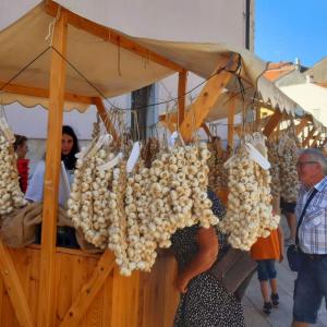 6. Festival istarskog češnjaka