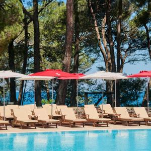 Apartments Galijot Plava Laguna -1