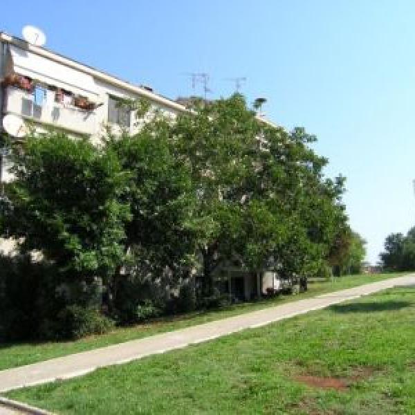 BELETIĆ