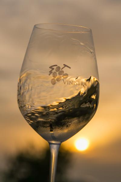 Vinistra - International wine exhibition