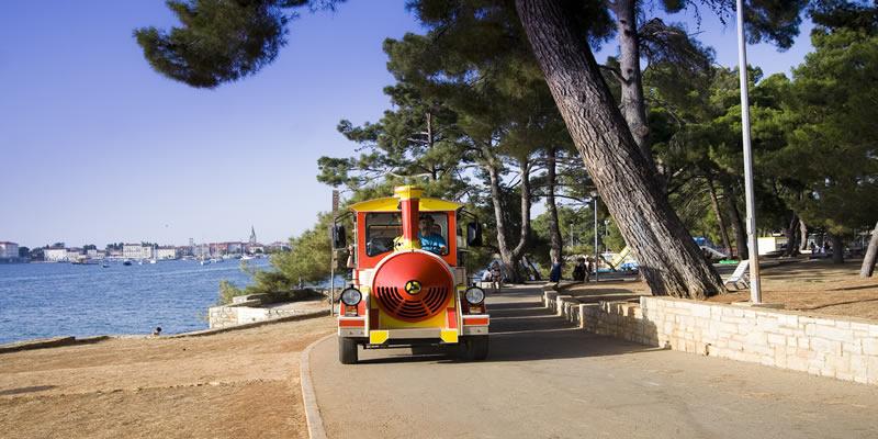 TOURIST TRAIN