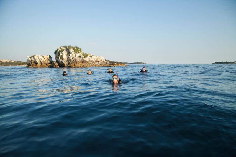 Diving in the deep blue sea