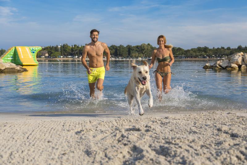 Pet-Friendly Poreč for a dog-gone great holiday   