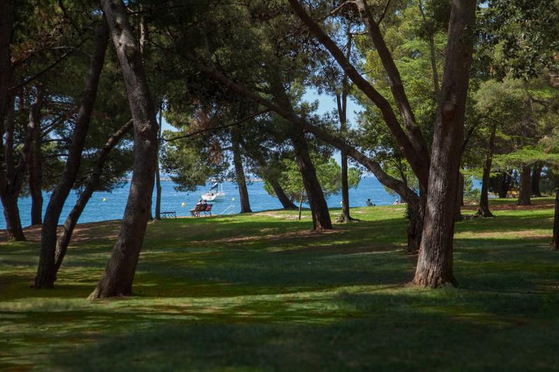 Walking In the shade of the evergreen (Poreč - Plava Laguna)