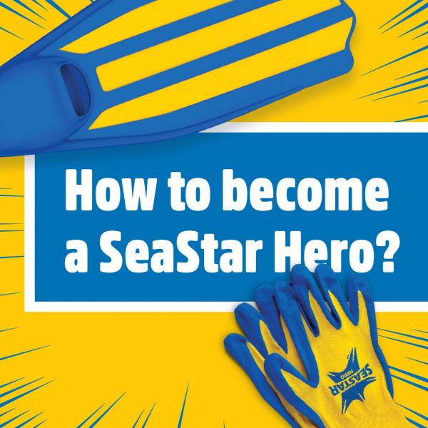 This summer become a SeaStar Hero