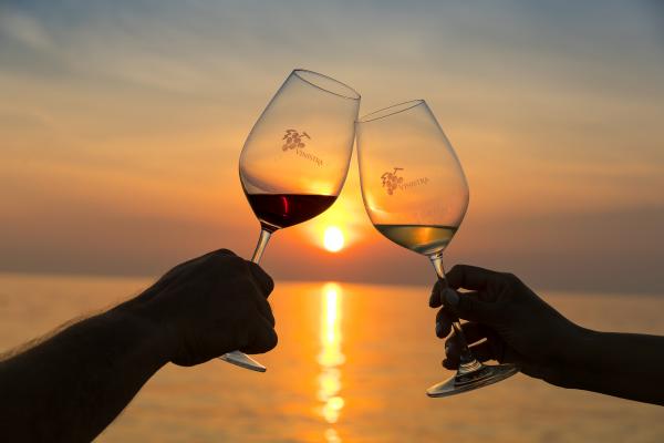 Vinistra - mednarodna razstava vina in vinarske opreme 