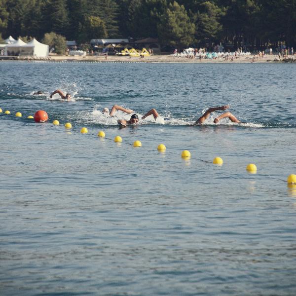 Poreč Dolphin
