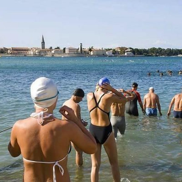 Porečki delfin - Delfino parentino