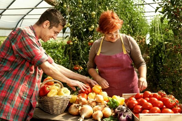 Messe der istrischen landwirtschaftlichen Produkte