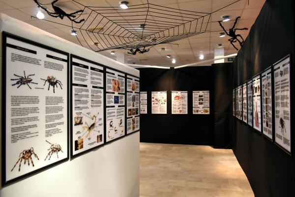Ausstellung: ArachnoTerra 