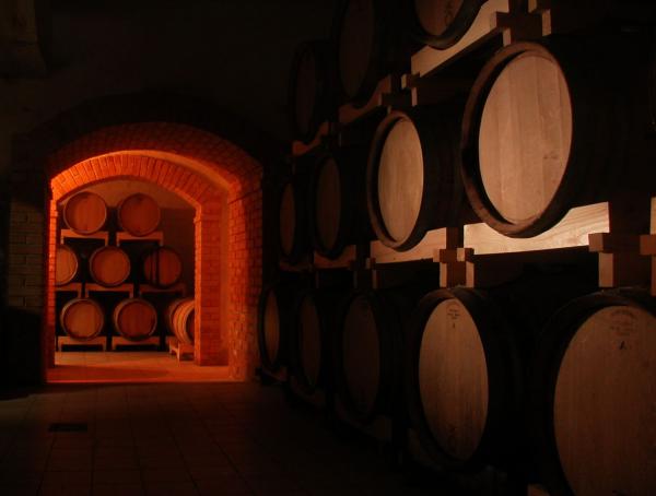 Wine day - Tag des Wein in Istrien