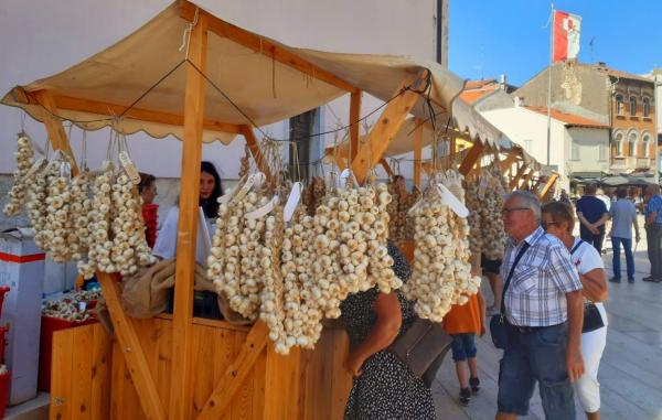 6. Festival istarskog češnjaka