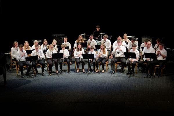 Koncert: Puhački orkestar Ladies & Gentlemen